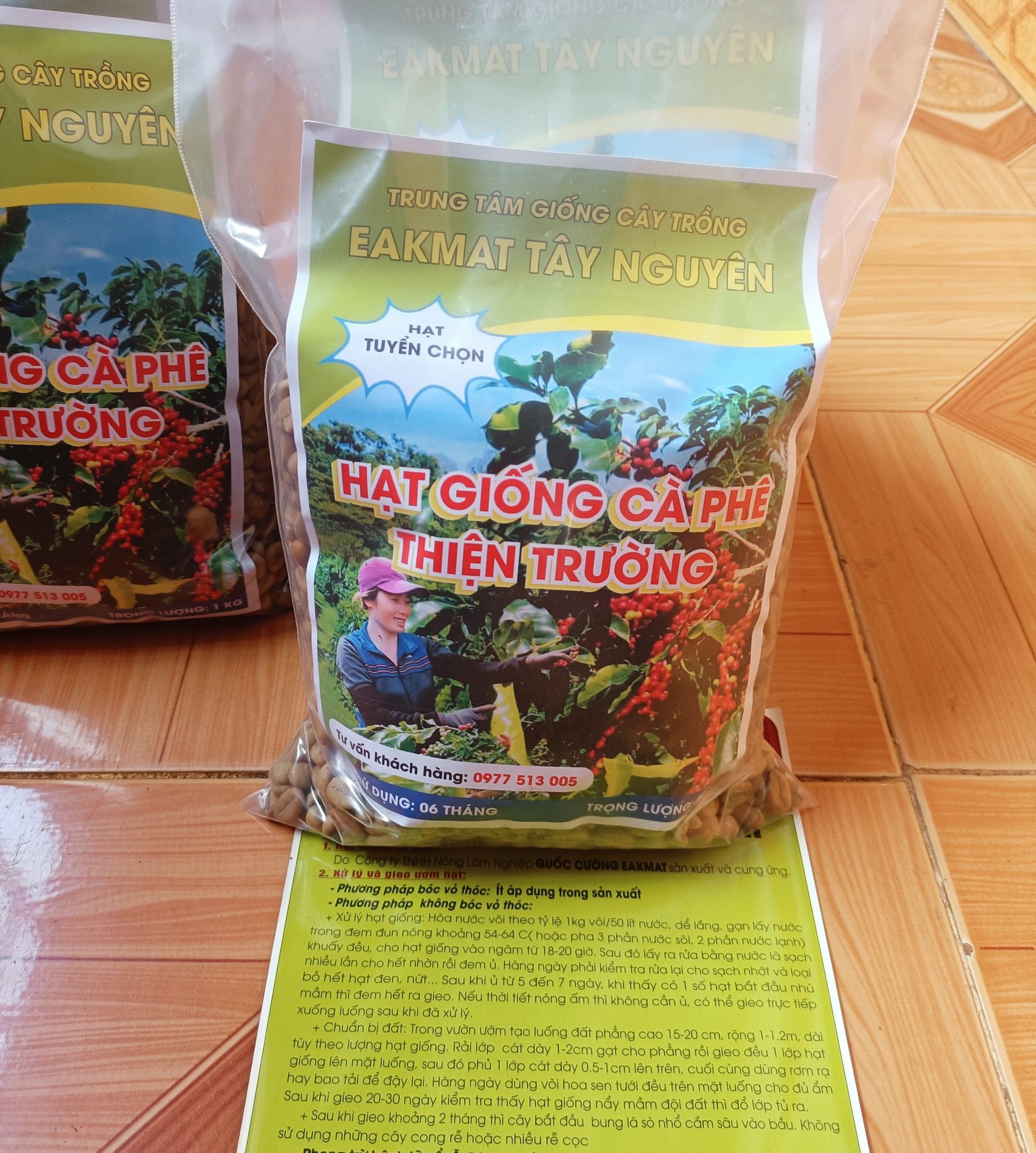 Hạt giống cà phê Thiện Trường cao sản