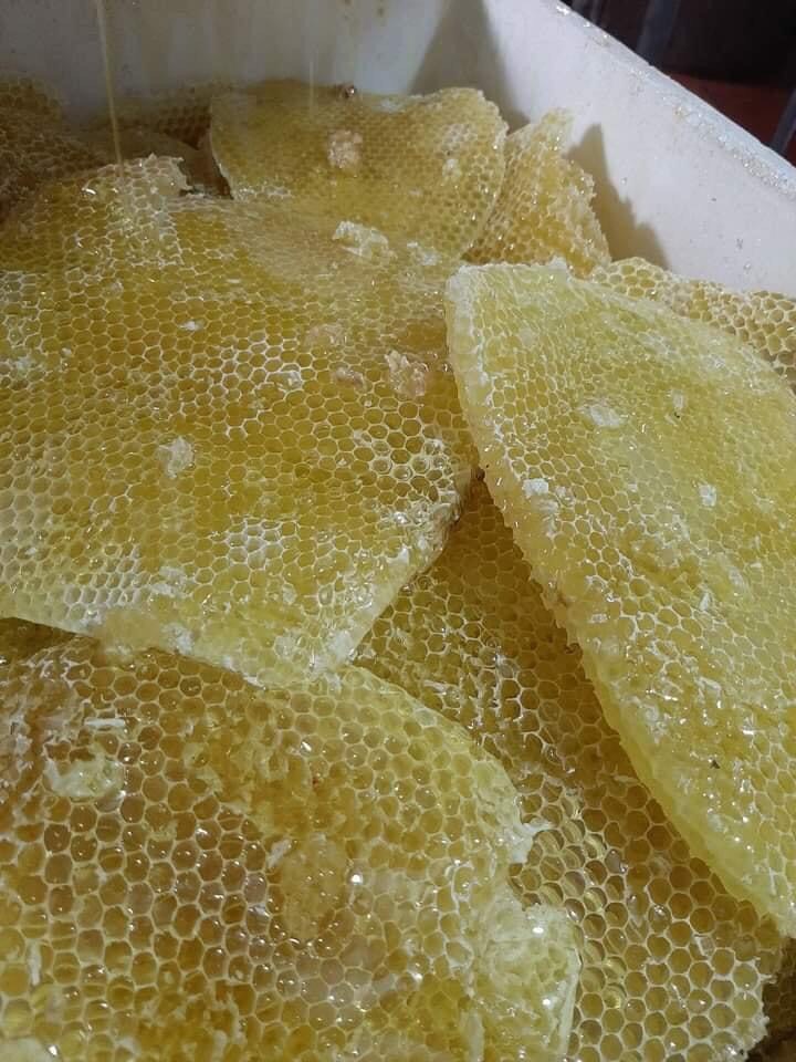 Mật Ong hoa rừng Tam Đảo ( Thái Nguyên ) 1 lít 180k
