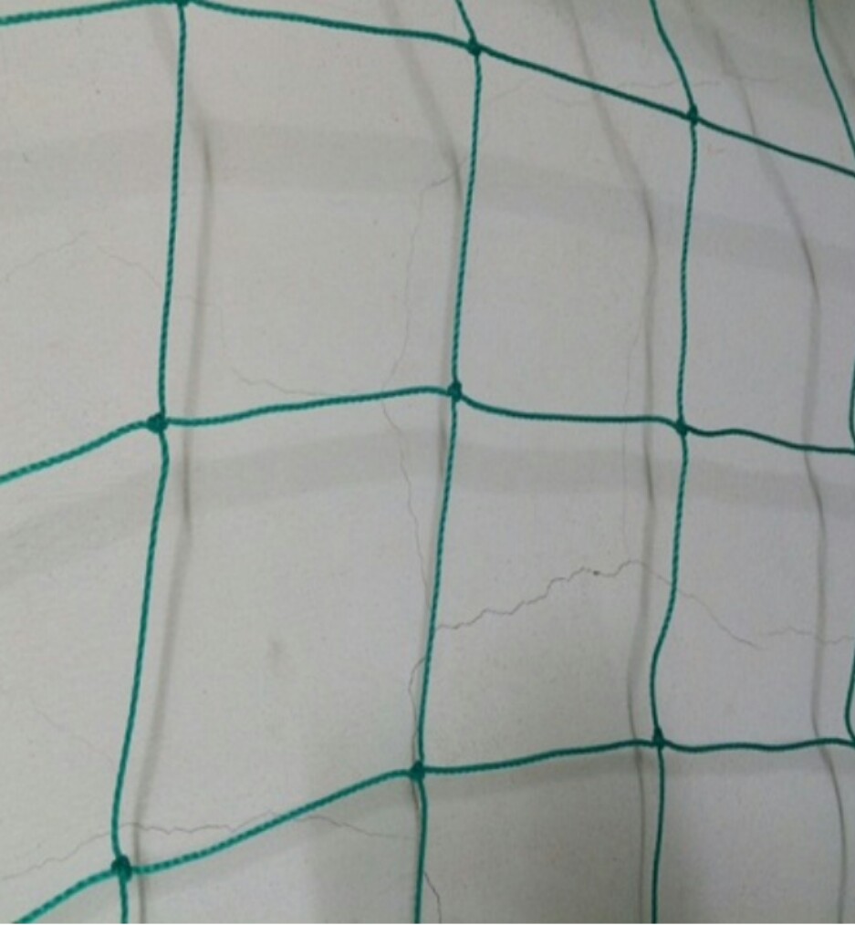 LƯỚI THÁI LÀM GIÀN CÂY LEO (kích thước 1m x 2m)