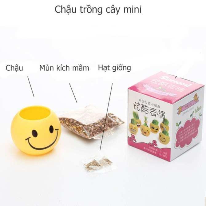 Chậu cây để bàn mini mặt cười