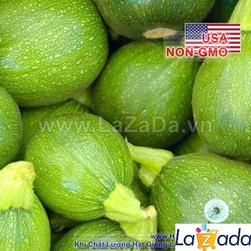 8h Hạt Giống Bí Ngòi Tròn Xanh Tatu Chịu Nhiệt (A1.301| C38A*W41*M164)