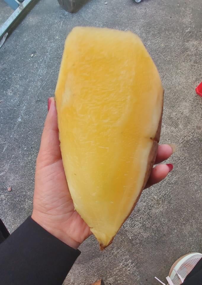 500GR MỨT KHOAI SÂM ĐÀ LẠT SẤY DẺO SIÊU NGON