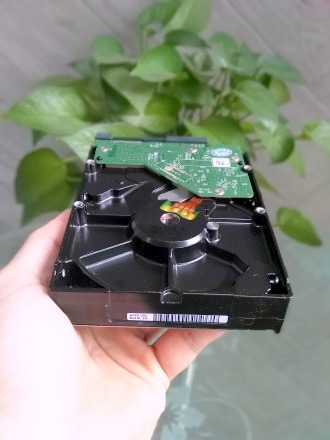 [HCM]Ổ Cứng 500gb Cũ 3.5 inch PC Western Green
