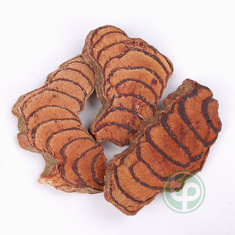 [Trà ngon bổ dưỡng]Kê huyết đằng khô 500g - Thảo Dược Tấn Phát