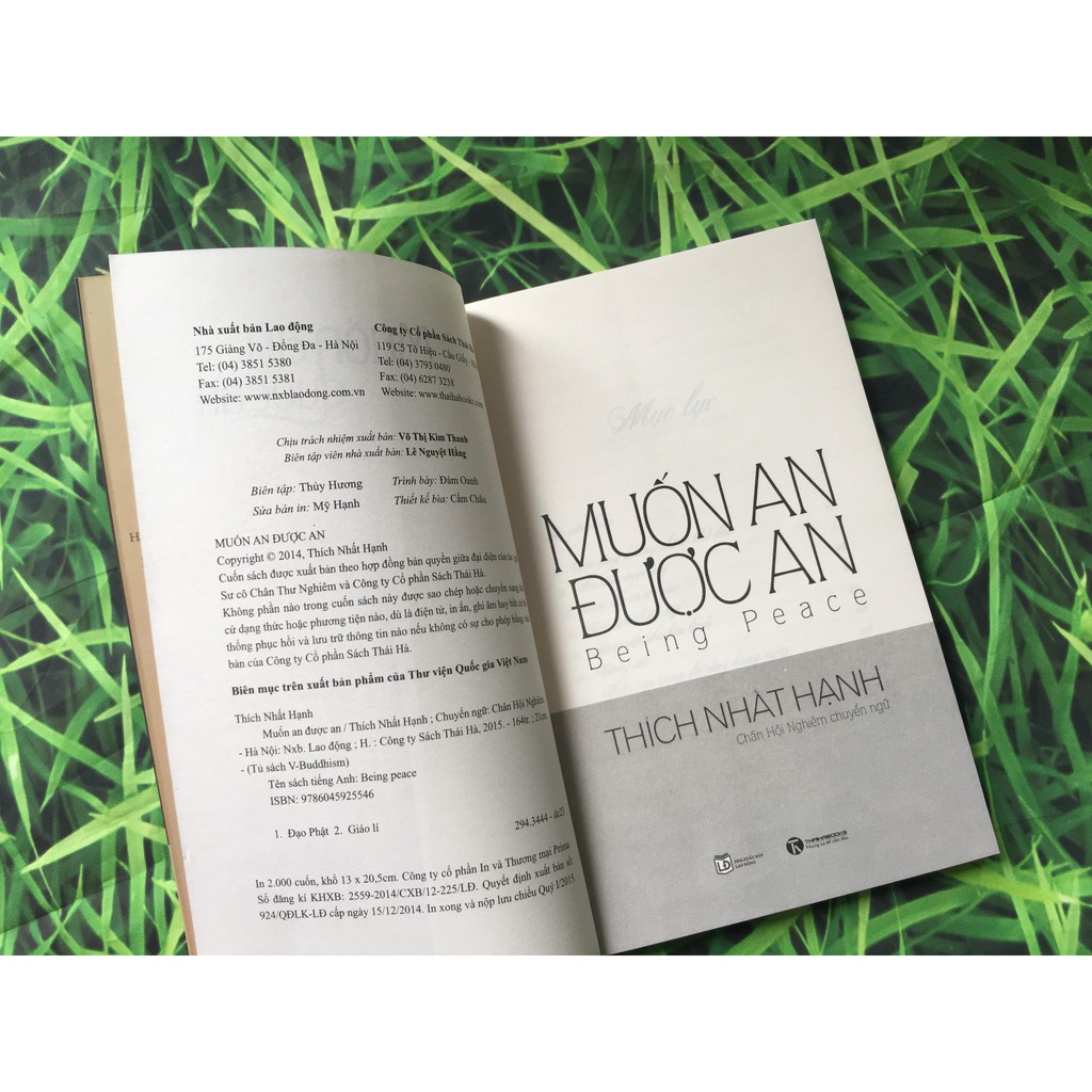 Sách - Muốn An Được An (Tái Bản)