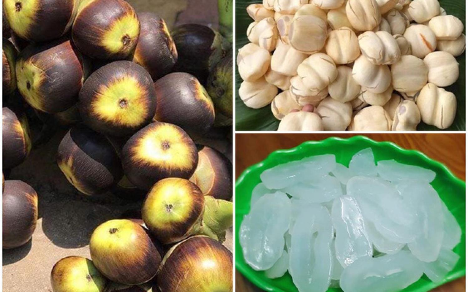 THỐT NỐT SẤY DẺO KHÔNG ĐƯỜNG 500GR