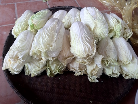 Kim chi Hàn Quốc -  1Kg - Chuẩn vị ngon - made by Jun auth