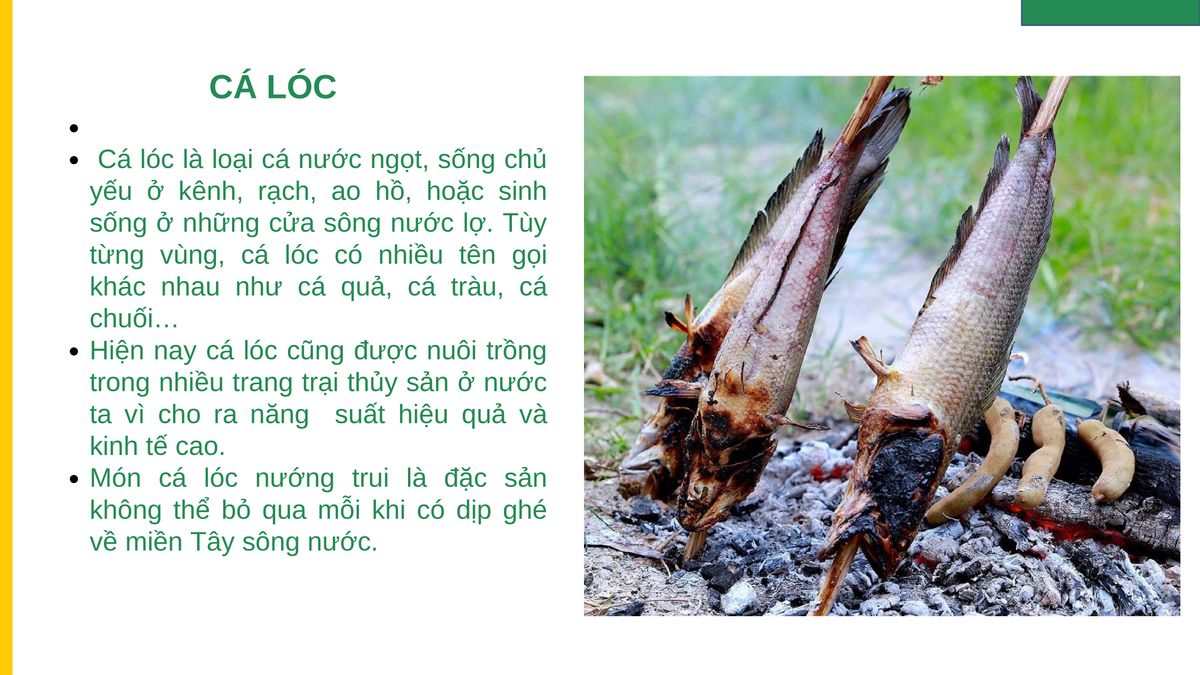 Cá Lóc Cắt Khúc - CKFoods - Túi 400g