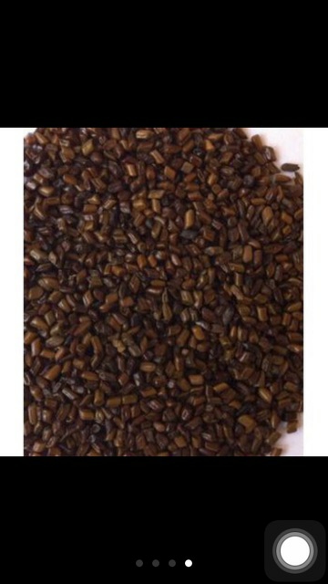 1kg hạt muồng cho bé xúc cát