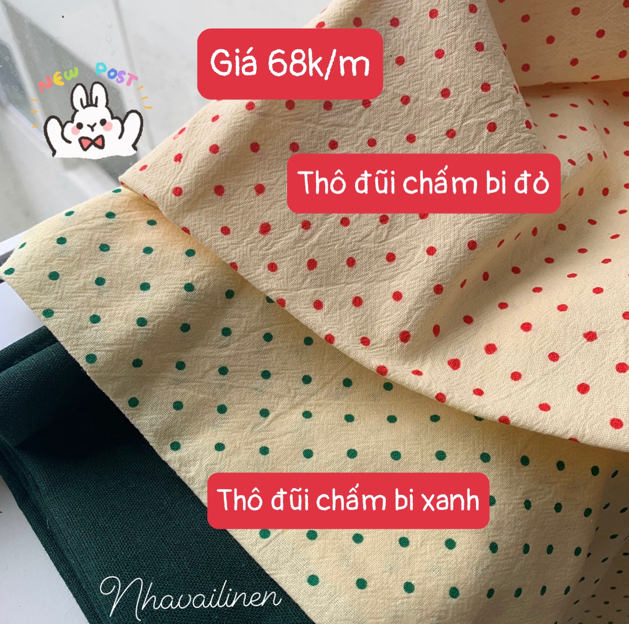 THÔ ĐŨI HOẠ TIẾT - CHẤM BI