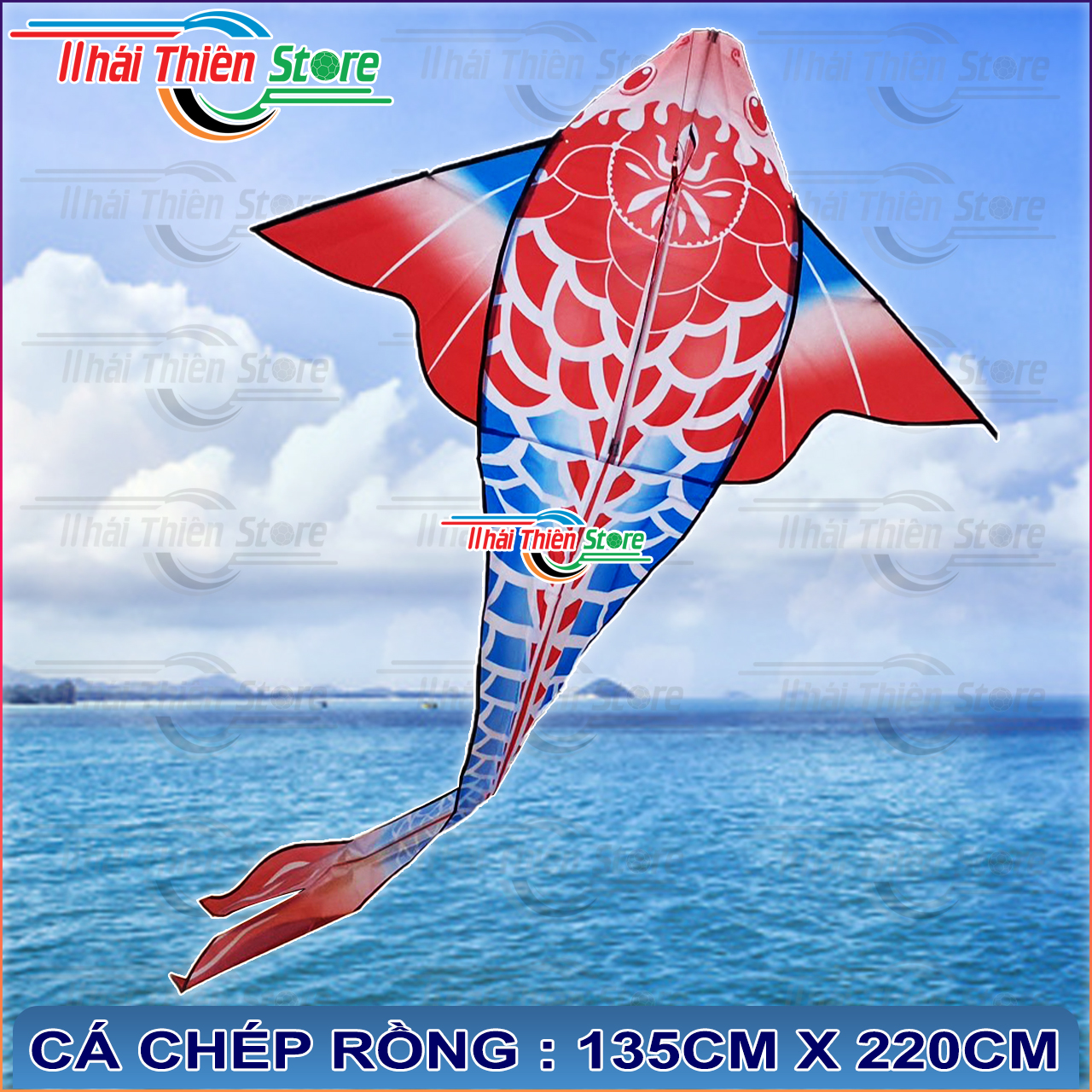 Diều Cá Koi, Chép Rồng Nhiều Màu