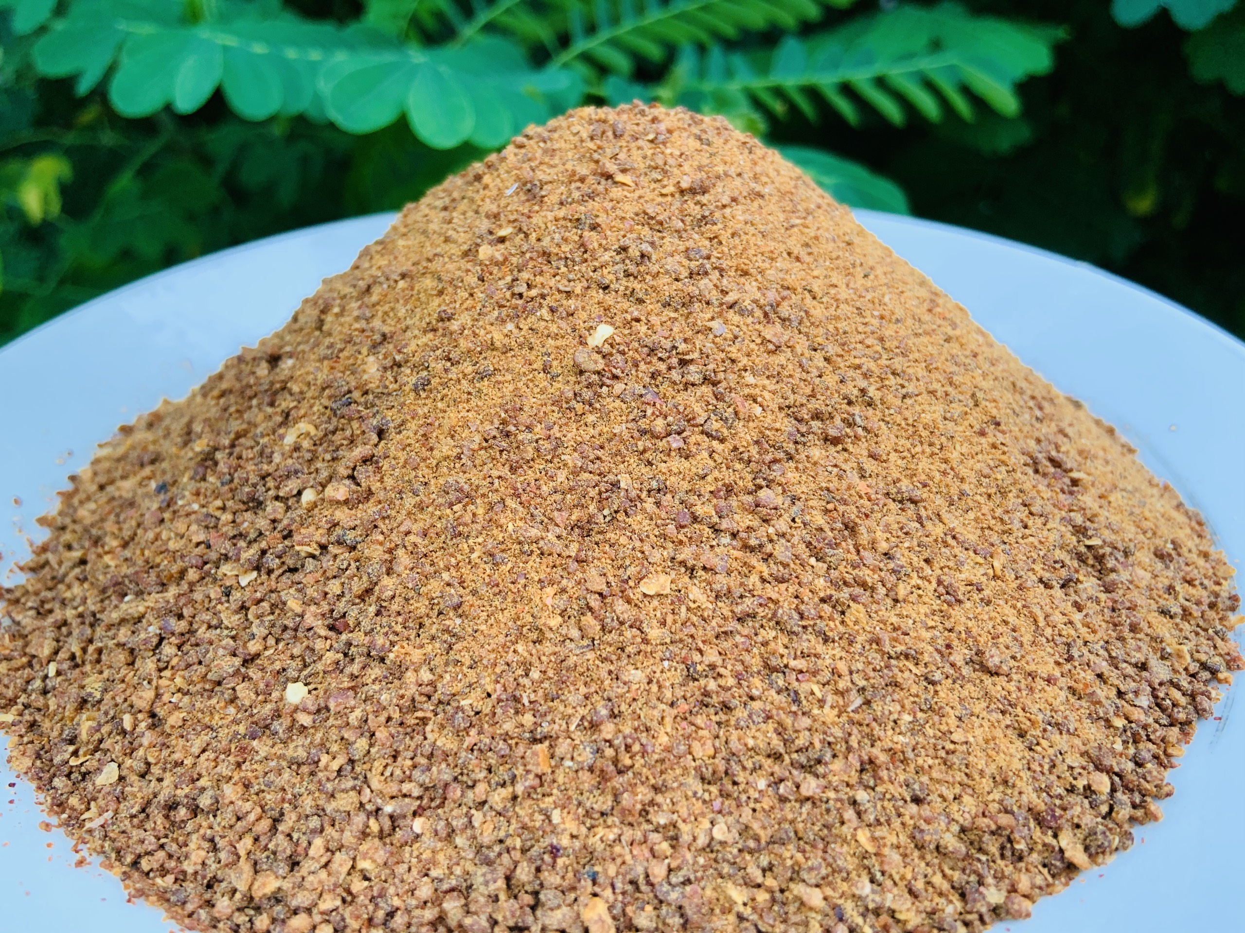 [500GR]Muối Tôm Đen Xike Đặc Biệt Tây Ninh