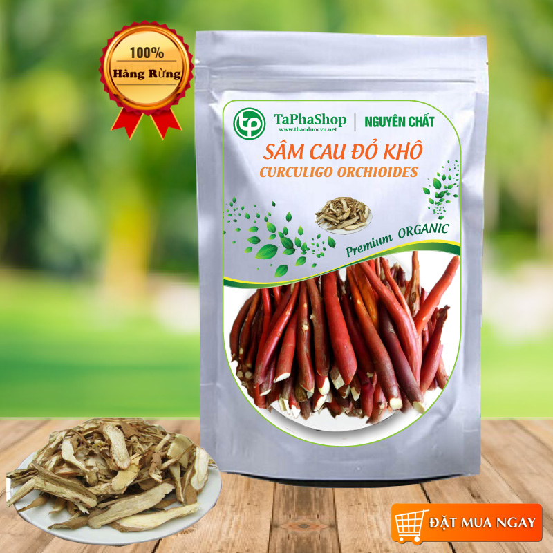 Sâm cau đỏ khô 100g - Thảo Dược Tấn Phát