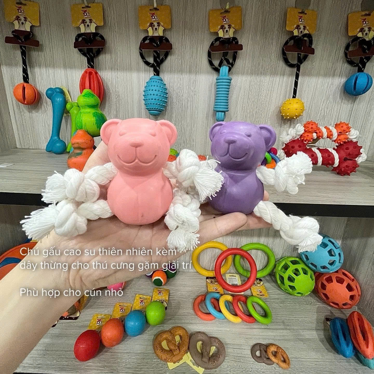 [Quà tặng không bán] Gấu đồ chơi có dây
