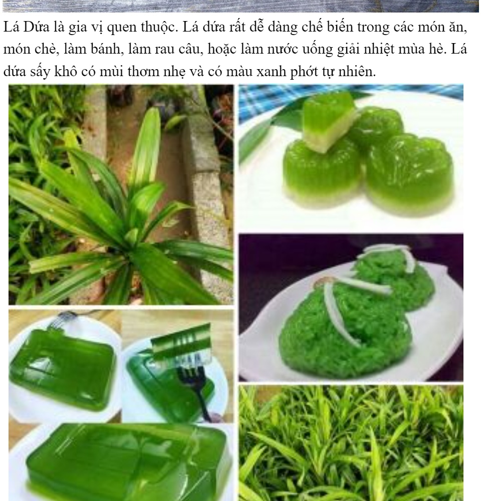 [HCM] Trà lá dứa sấy lạnh gói 20 gram