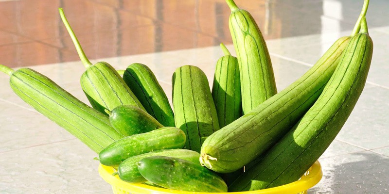 Mướp hương
