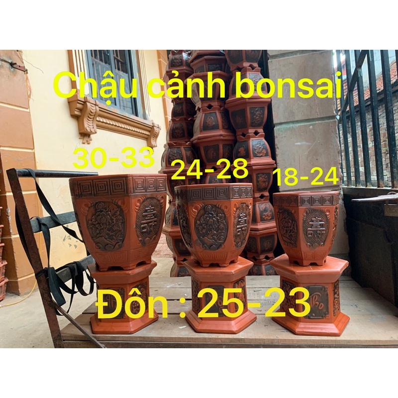 Chậu lục giác trồng lan kiếm