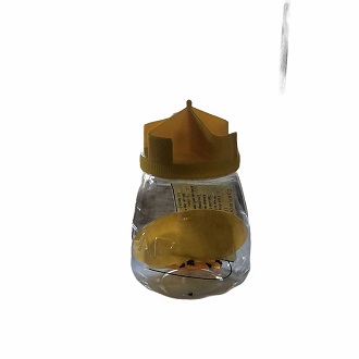 combo bẫy ruồi vàng và côn trùng sinh học