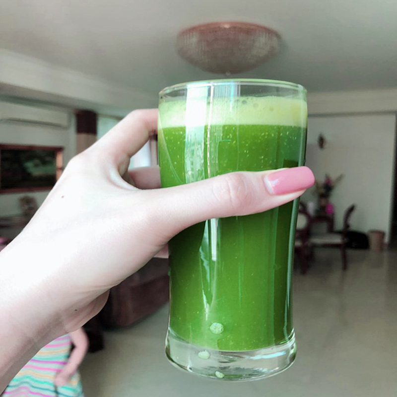 [Túi lớn loại 500gram] Bột rau ngót nguyên chất - Thảo Dược Tấn Phát - Hàng công ty chất lượng cao