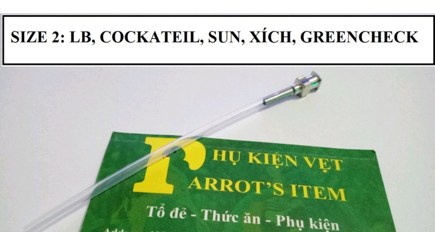 [HCM]ỐNG ĐÚT CHO VẸT NON