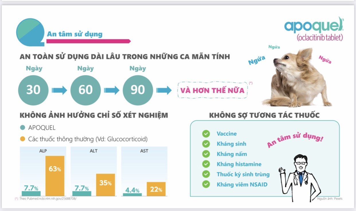 Apoquel 3,6 mg (100 viên) cho chó