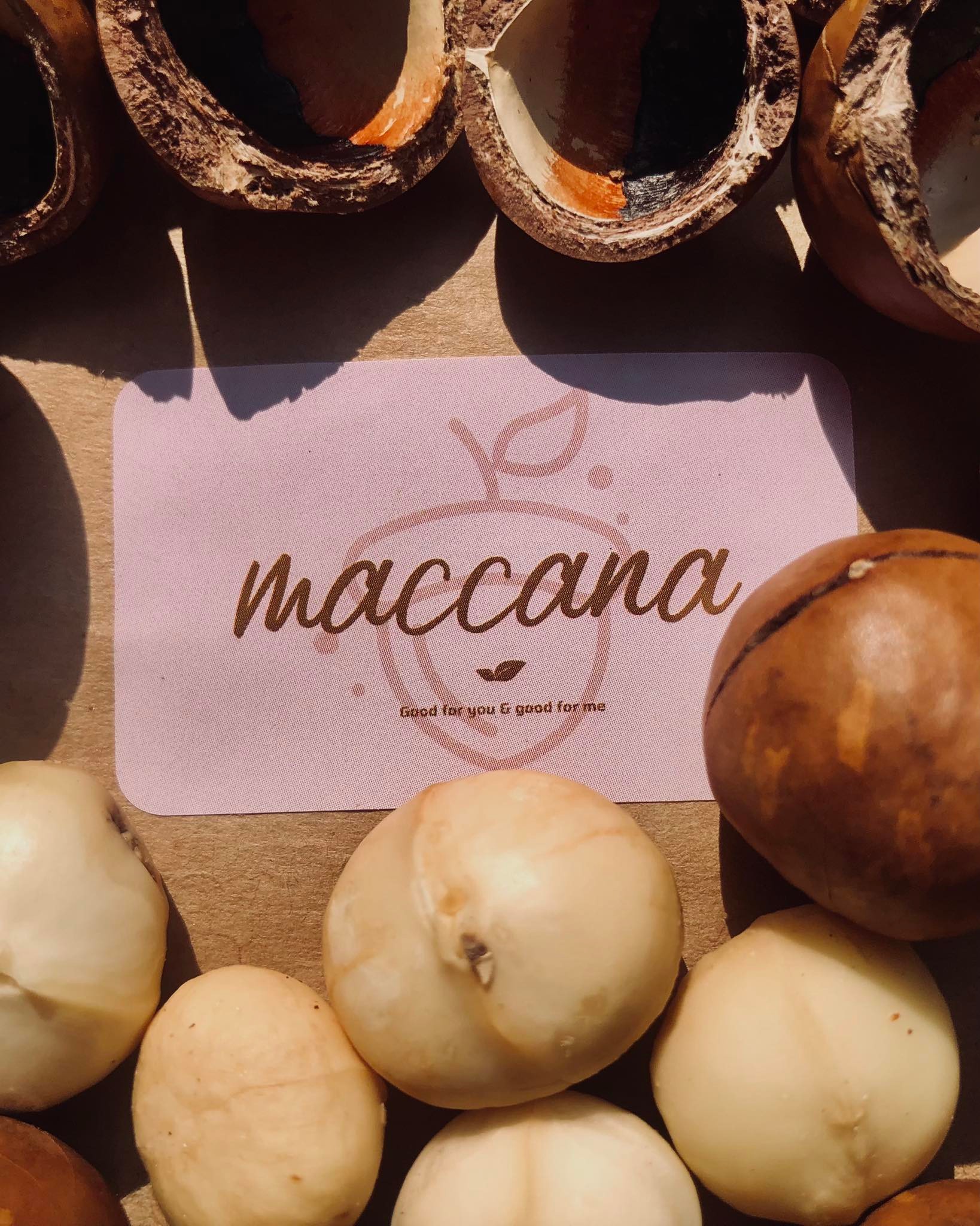 Hạt Macca Lâm Đồng - Maccana Macadamia