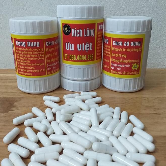 Th uốc kích lông Ưu Việt cho gà chọi