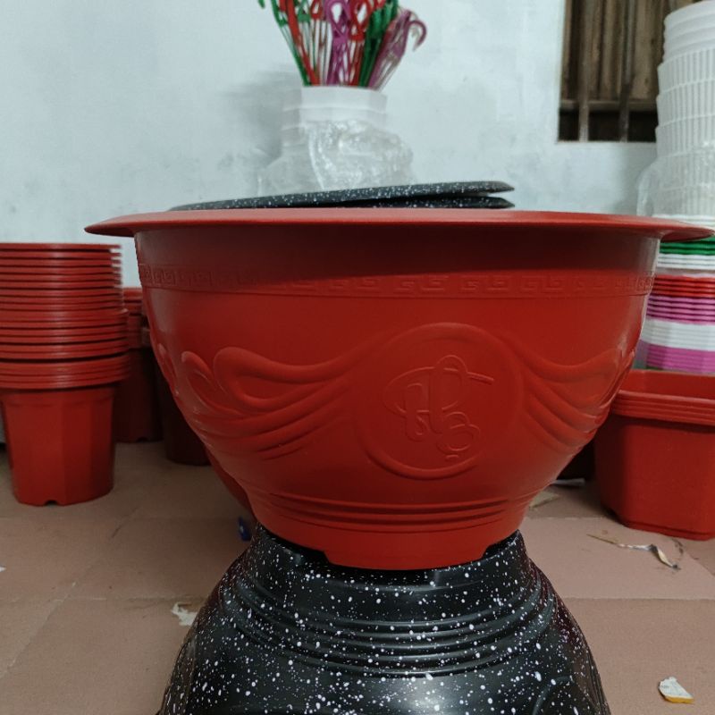 combo 3 chậu T68 trồng cây, trồng sen thả cá.