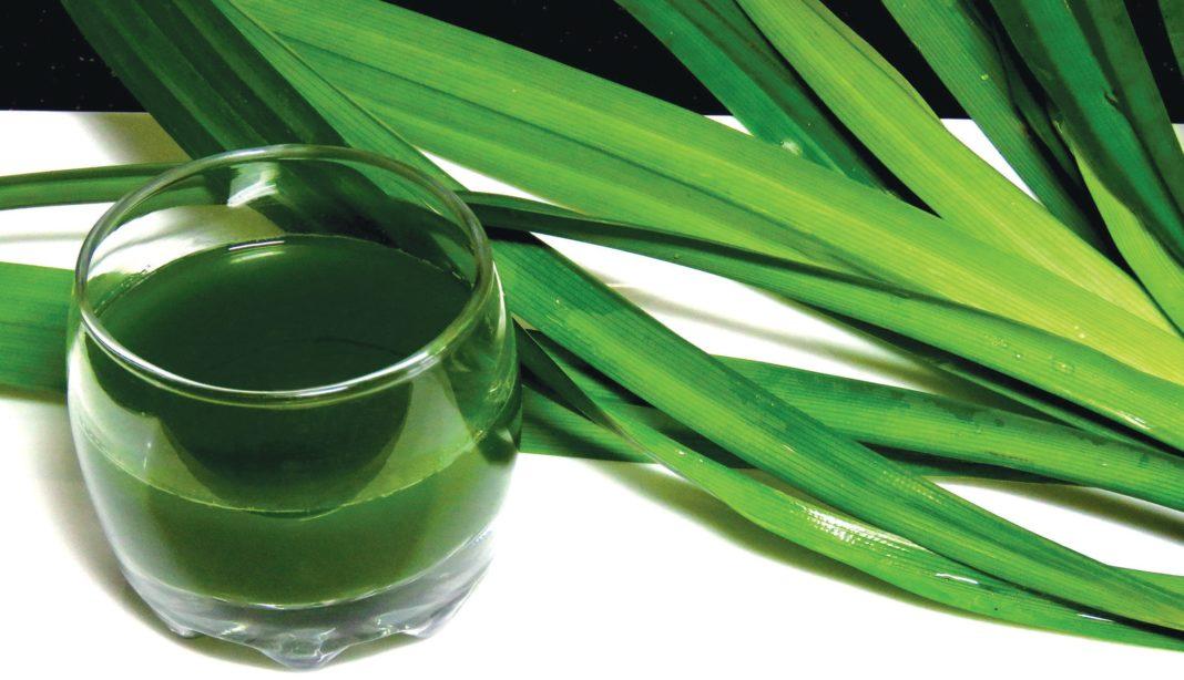 [HCM]Si rô Sâm Dứa Vinasyrup chai 750ml