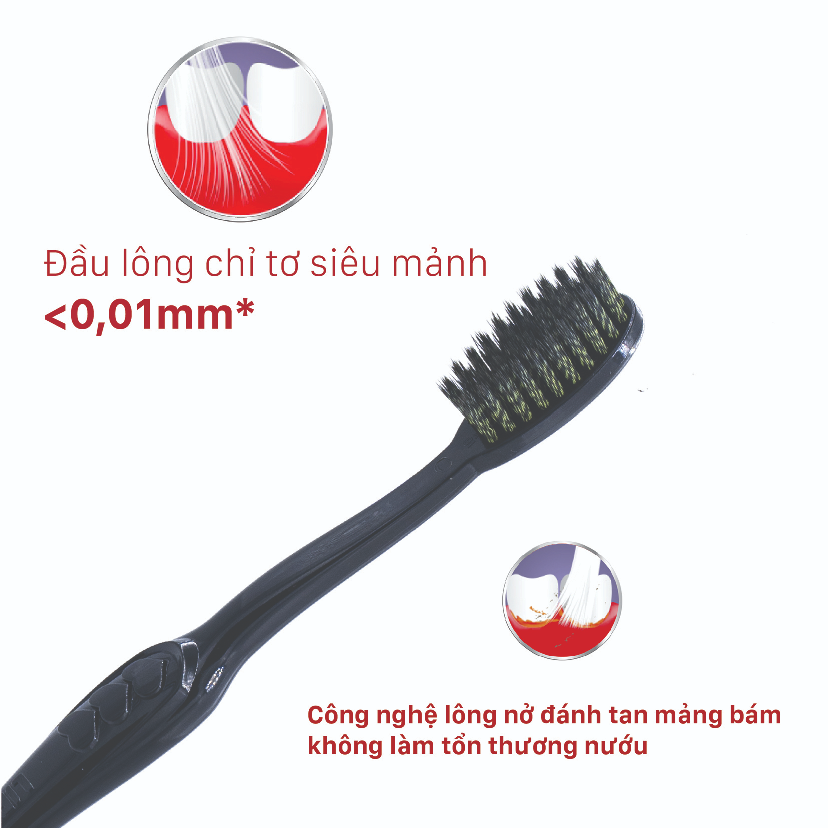 [2 TẶNG 1] Mua 02 bàn chải Lipzo Ruby Charcoal Tặng 01 bàn chải Lipzo Ruby Gold