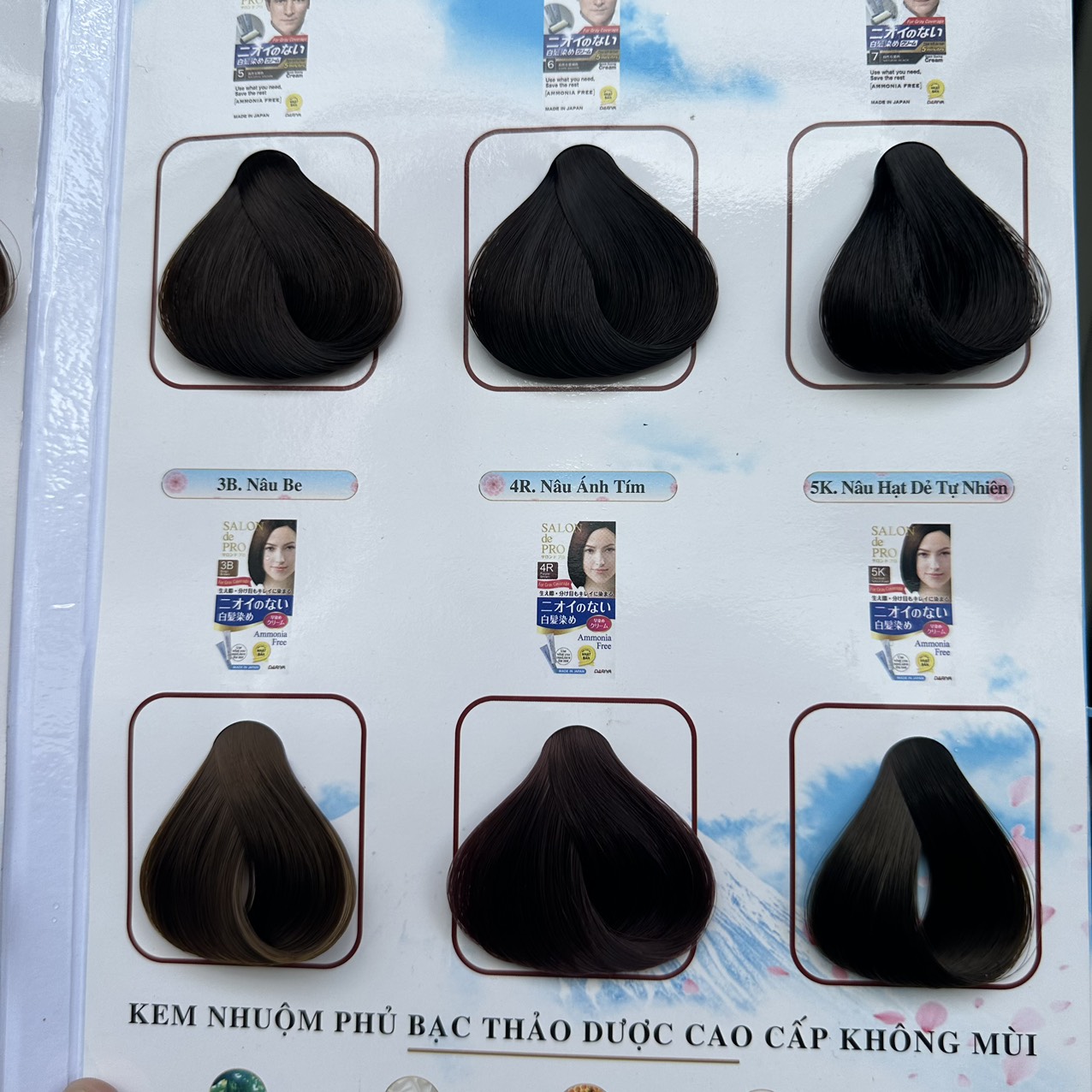 Thuốc Nhuộm Tóc Salon De Pro Số ( 2,3,4,5,5K,6, 3B, 4R )