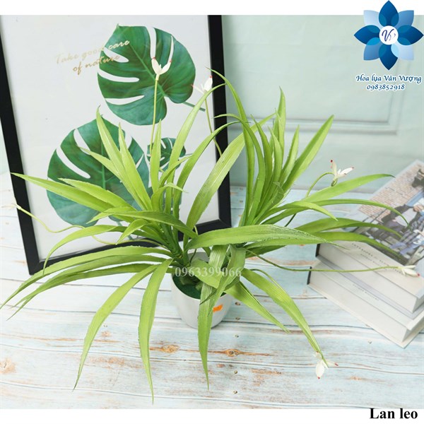 Hoa giả hoa lụa 🌺freeship🌺 lá dứa 3 hoa, lan leo