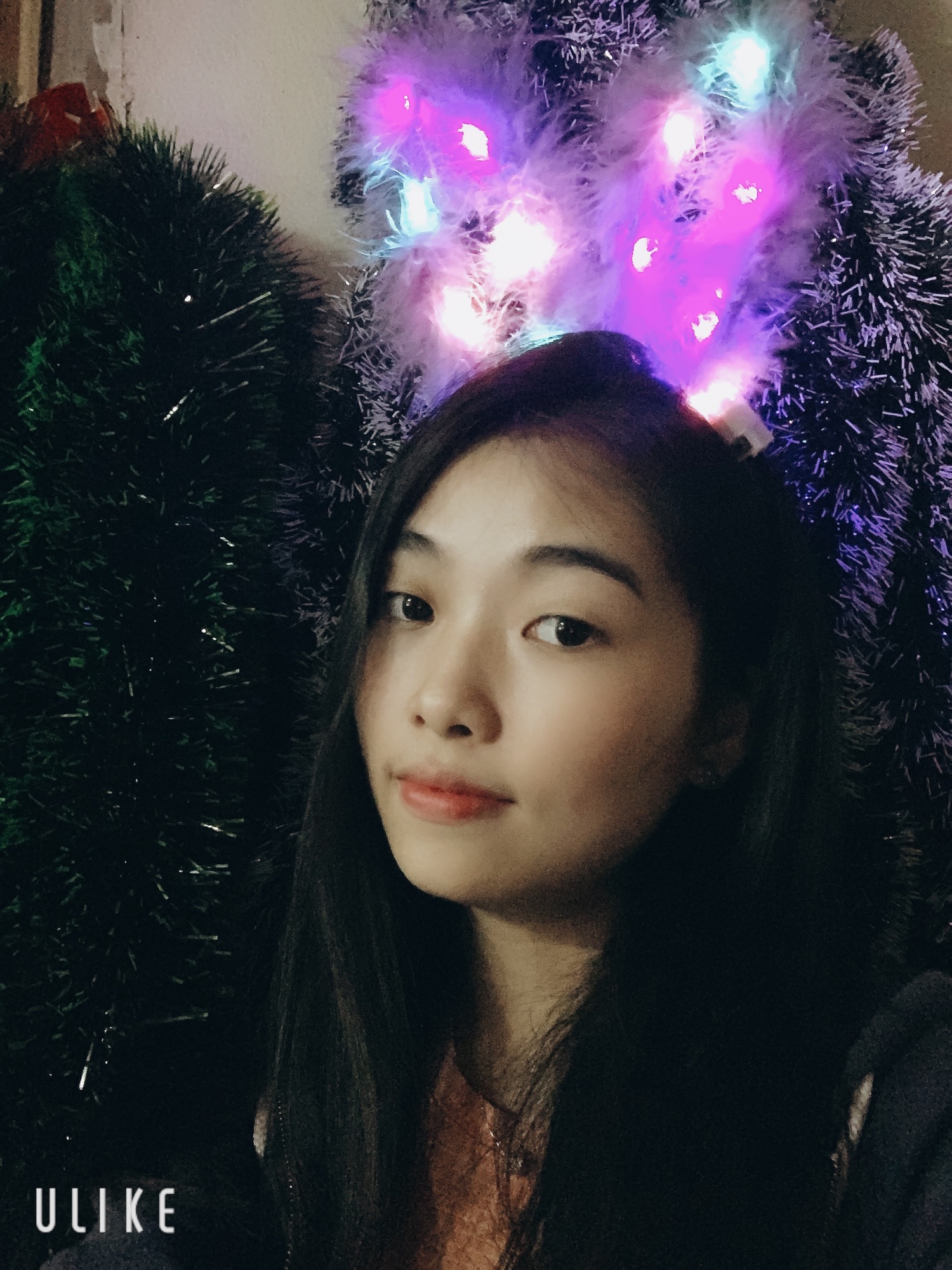 Bờm tai thỏ lông nhấp nháy