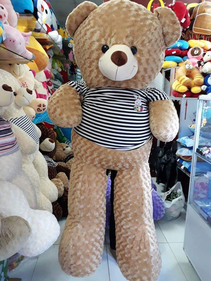 GẤU BÔNG TEDDY KHỔ VẢI 1M6 CAO 1M4