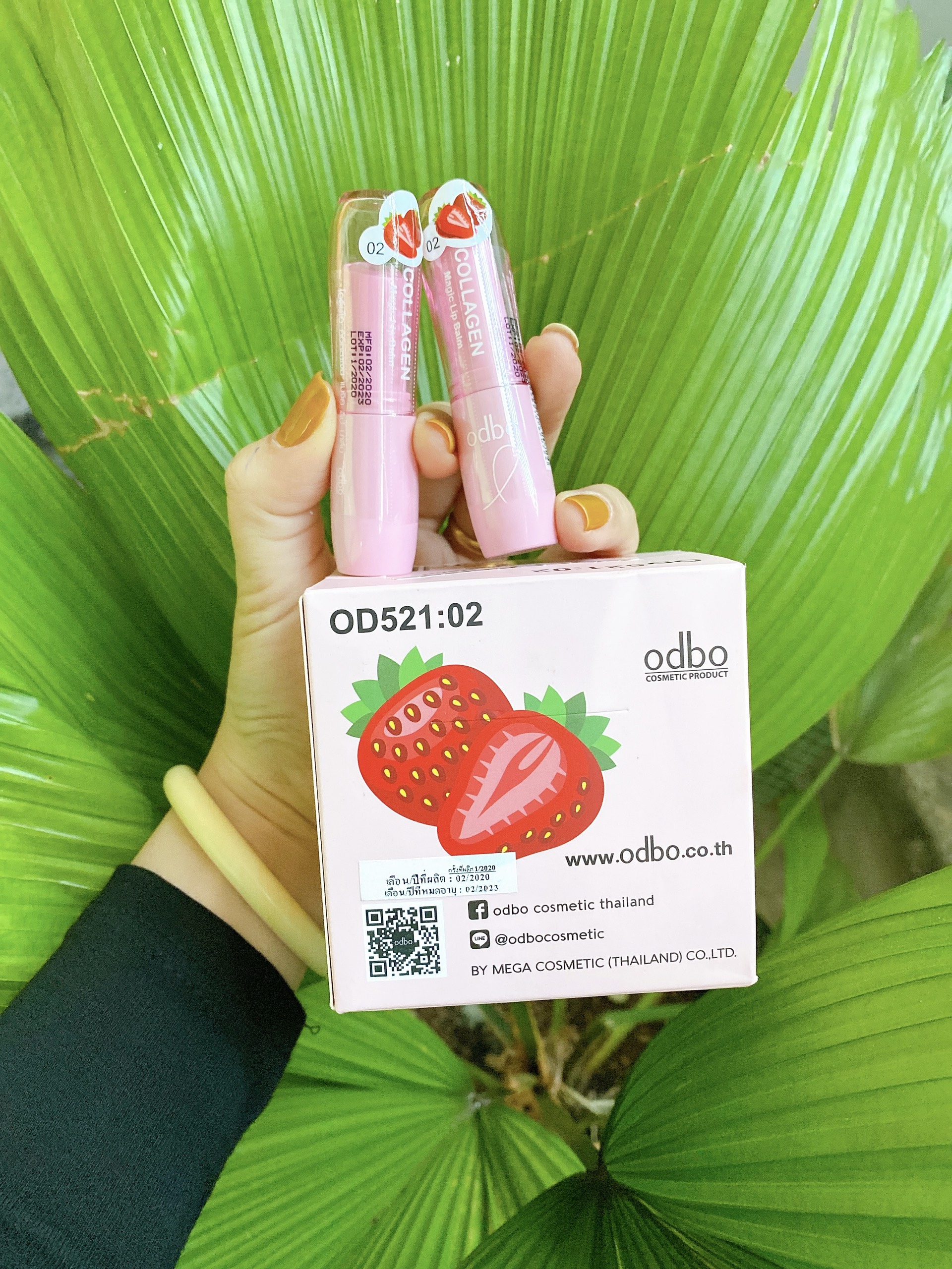Son dưỡng môi Odbo - son dưỡng dâu đào