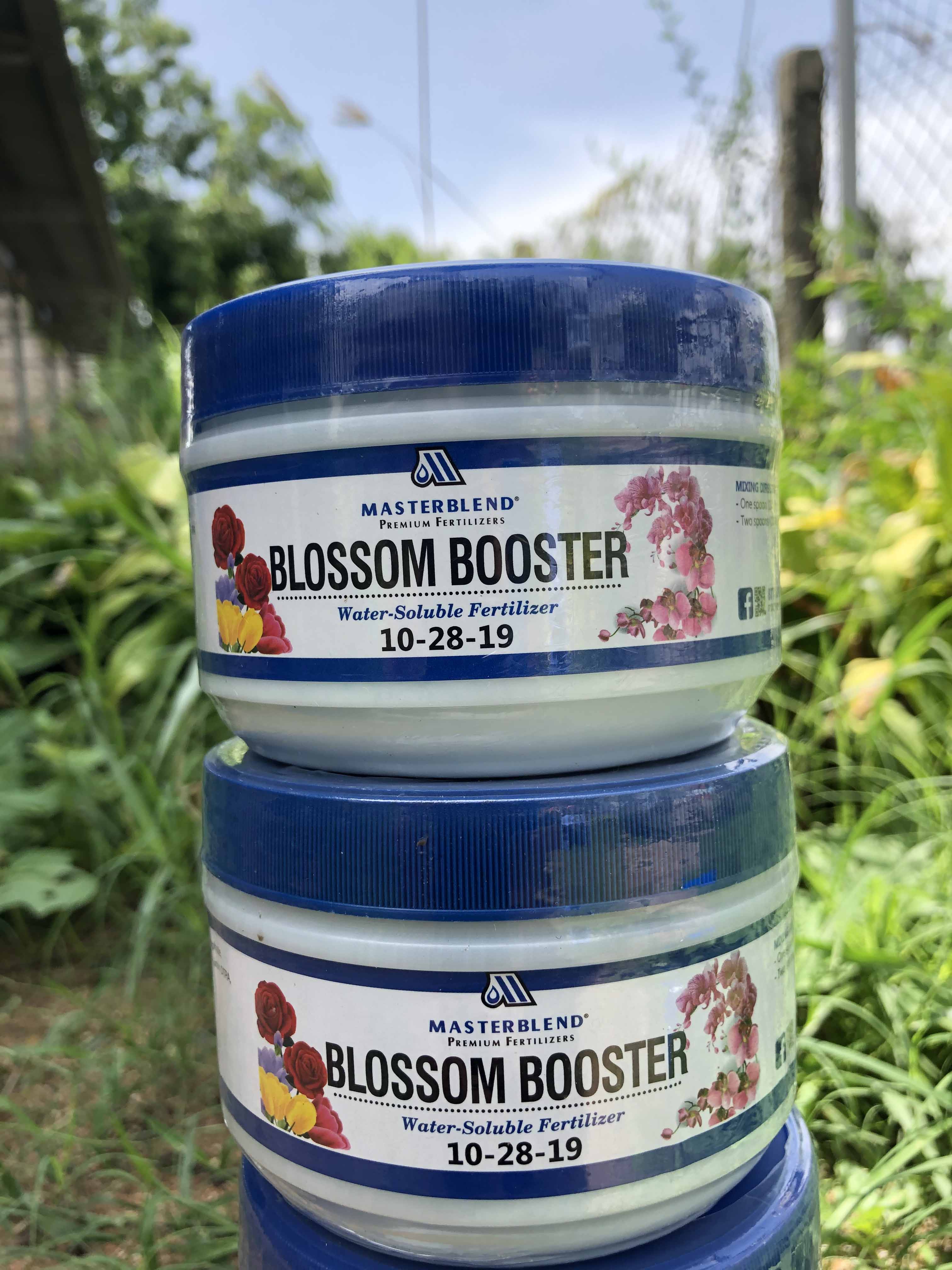 Phân Kích ra hoa Masterblend 10-28-19 ( dùng cho Hoa Lan và Các Loại Hoa)