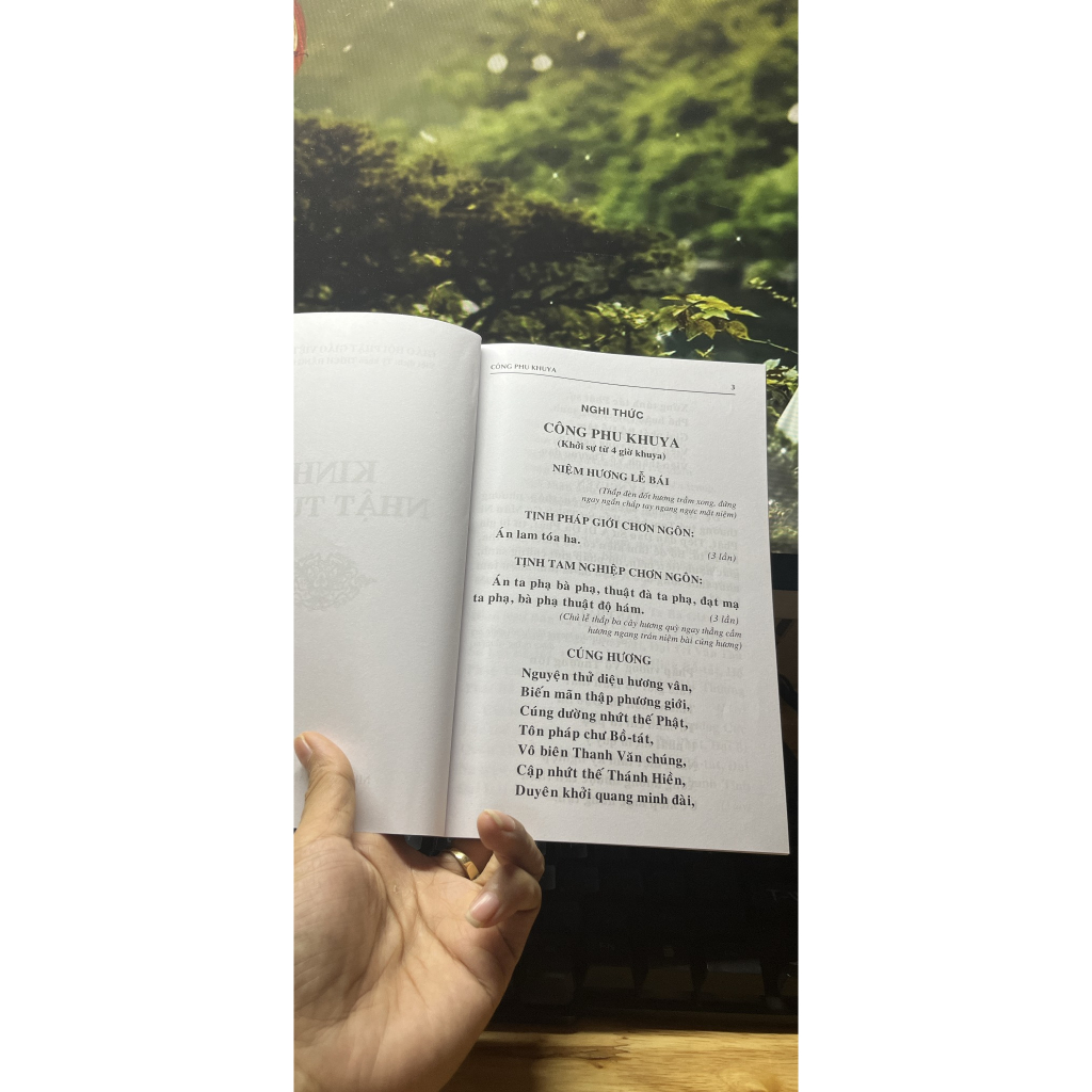 Kinh Nhật Tụng Rồng (Thích Đăng Quang)
