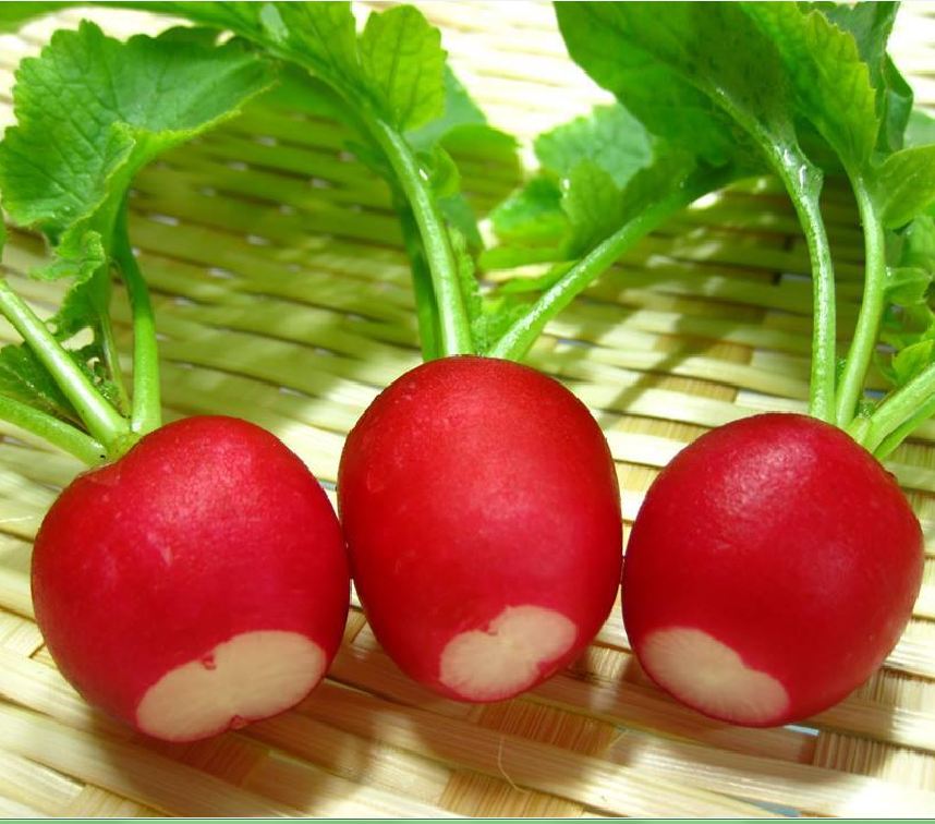 Tiny Red Radish Seeds - 5Gram Pack