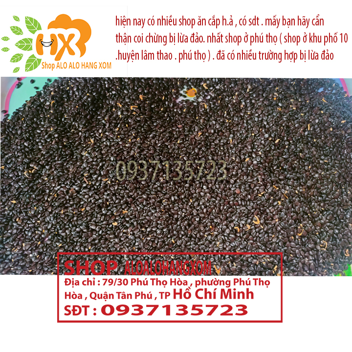 hạt giống cây tràm lai - 1000 gram