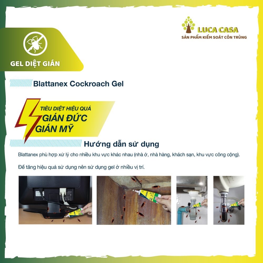 Gel Diệt Gián BLATTANEX COCKROACH Bayer - Combo 3 tuýp