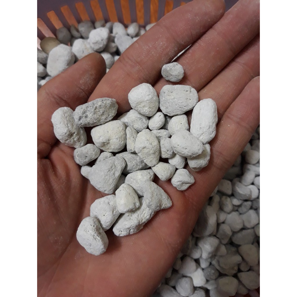 Đá Matrix Túi 100ml 200ml- Vật Liệu Lọc Seachem Matrix - Vật Liệu Lọc Tốt  Cho Hồ Cá - Sseachem Matrix Giá Tốt