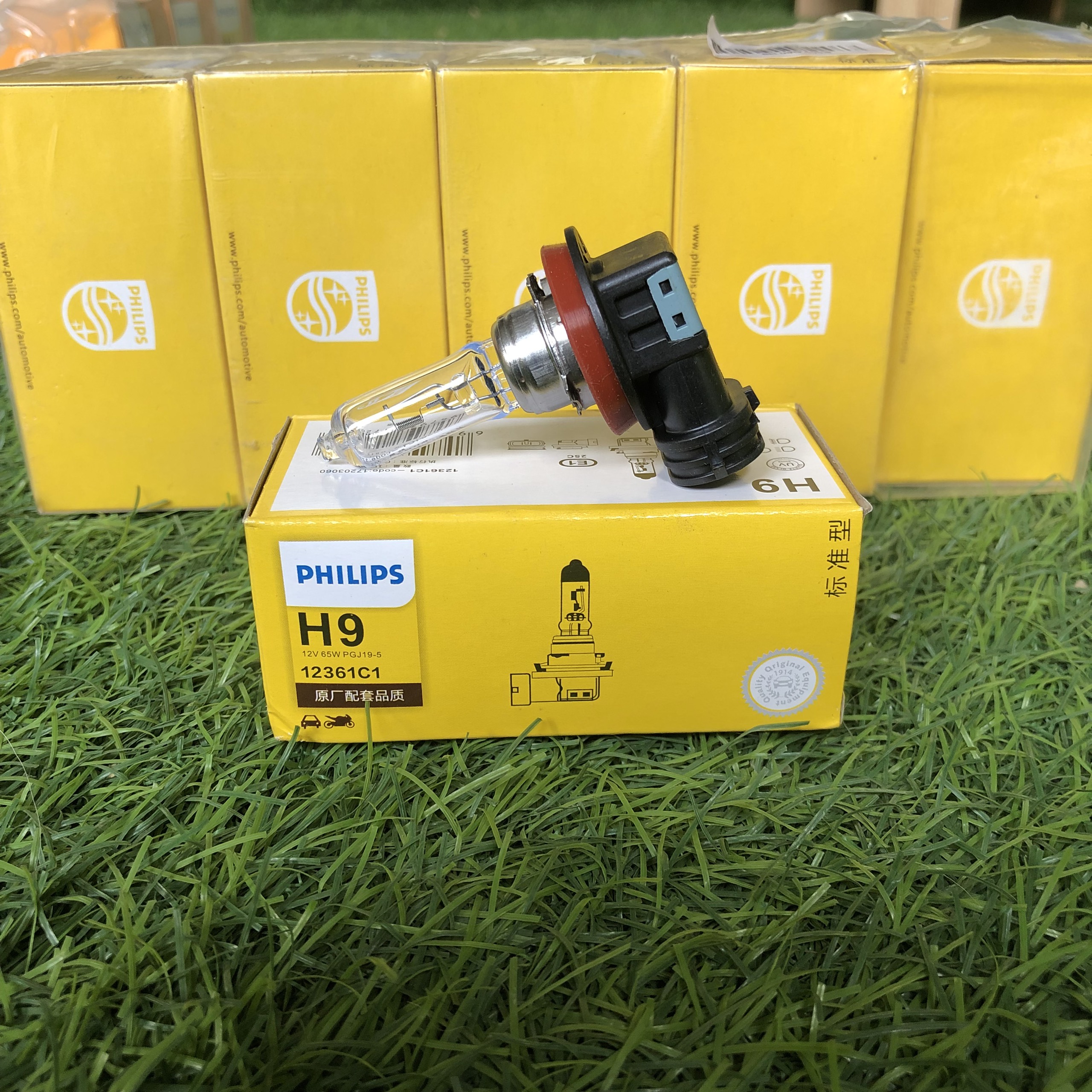 BÓNG ĐÈN Ô TÔ CHÂN H9 12V PHILIPS