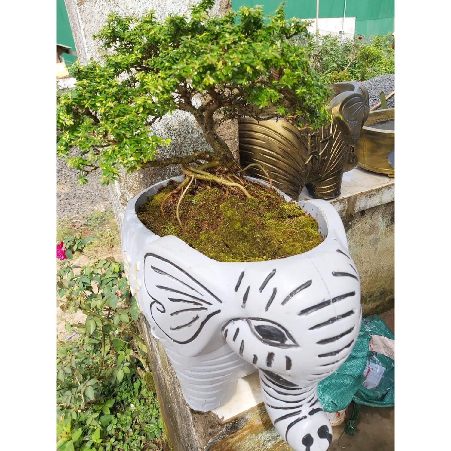 Khuôn đúc chậu cảnh . (Voi lớn 45cm)