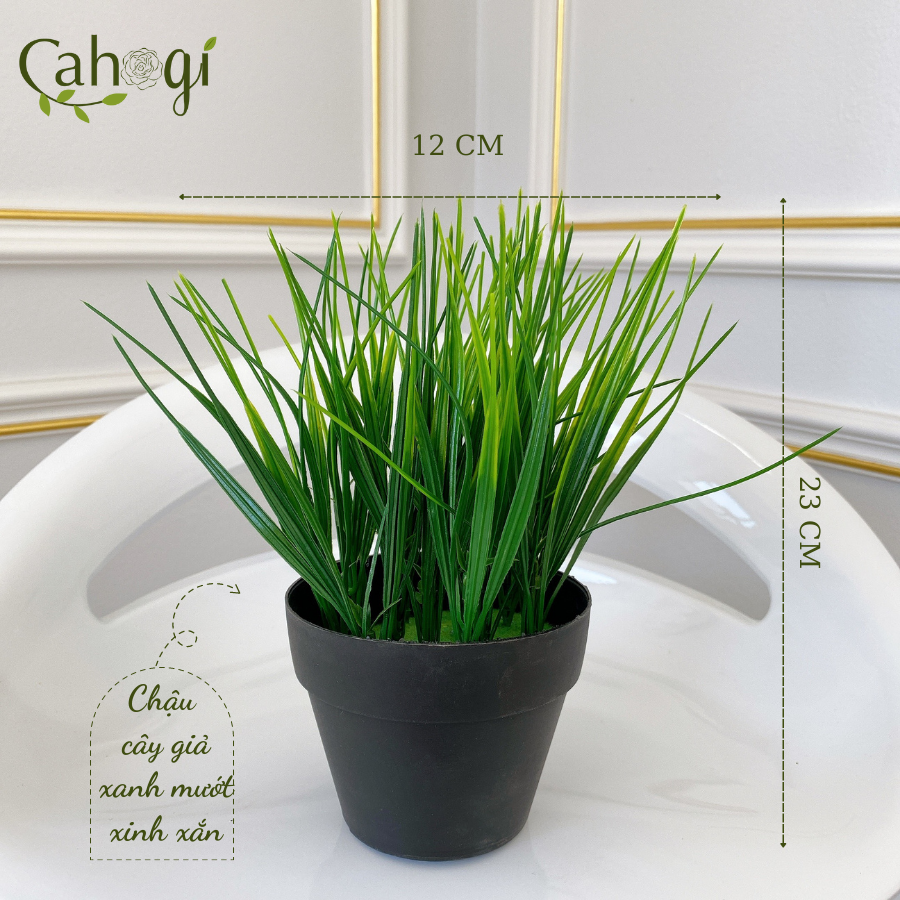 Chậu Cây Giả Chậu Lúa Mạ Non Cắm Sẵn
