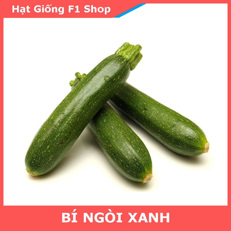 Hạt Giống Bí Ngòi Xanh Sai Trái