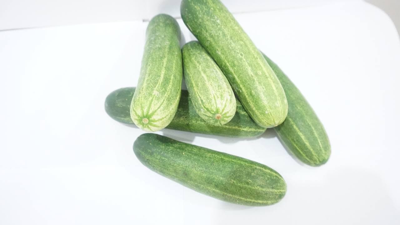 Dưa Leo FAFA 500gr/túi