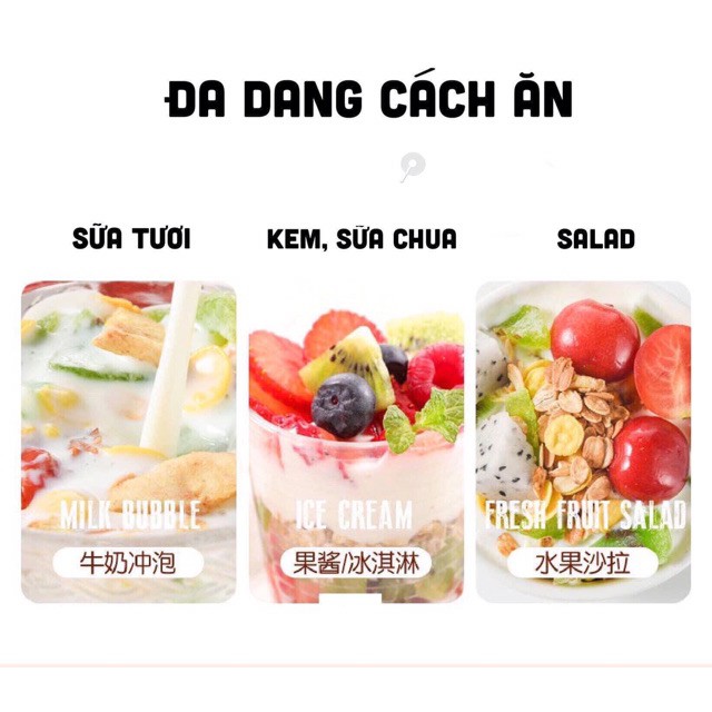 NGŨ CỐC ĂN KIÊNG MIX HẠT, SỮA CHUA 500G