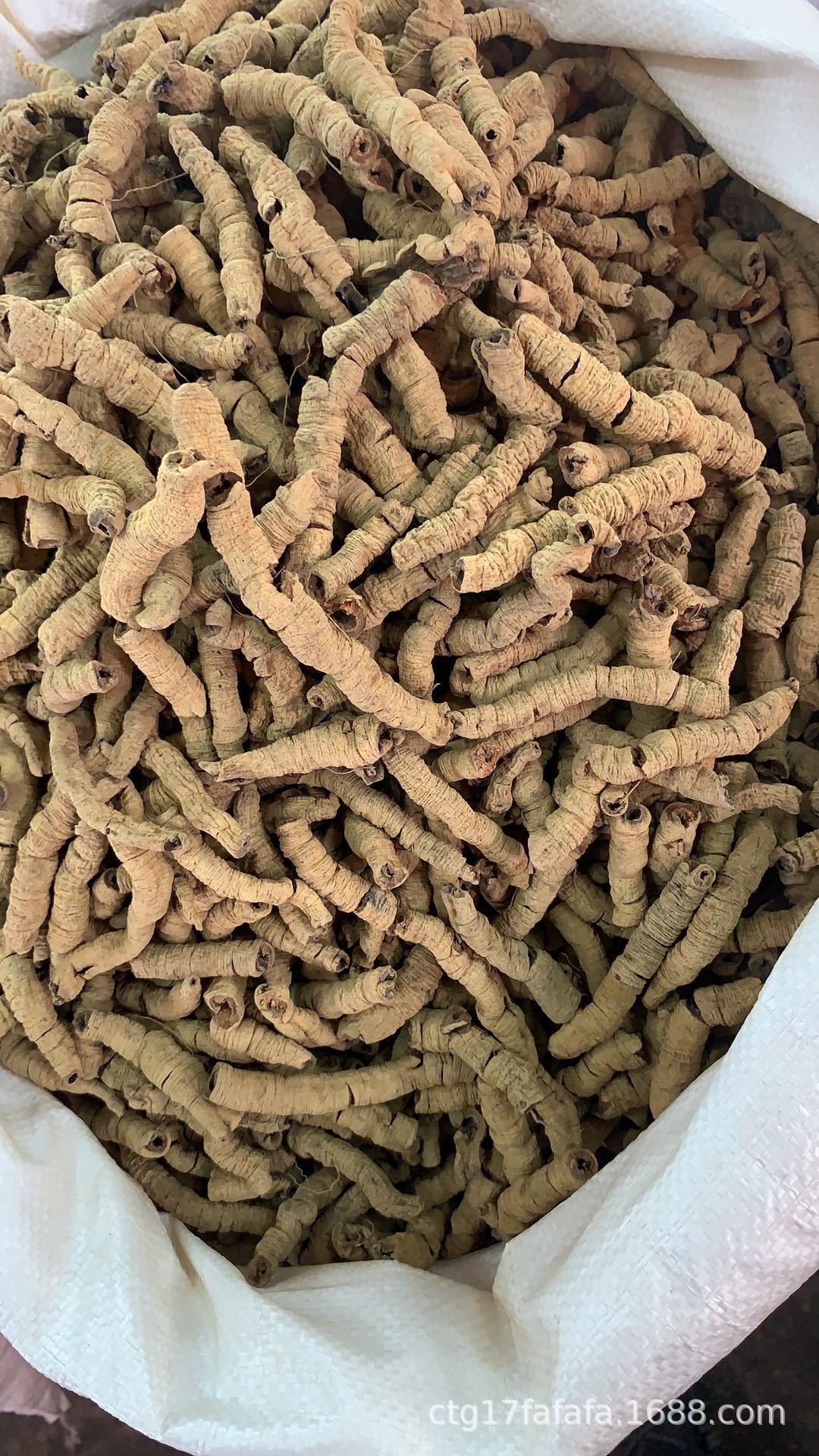 100gr Ba kích tím khô