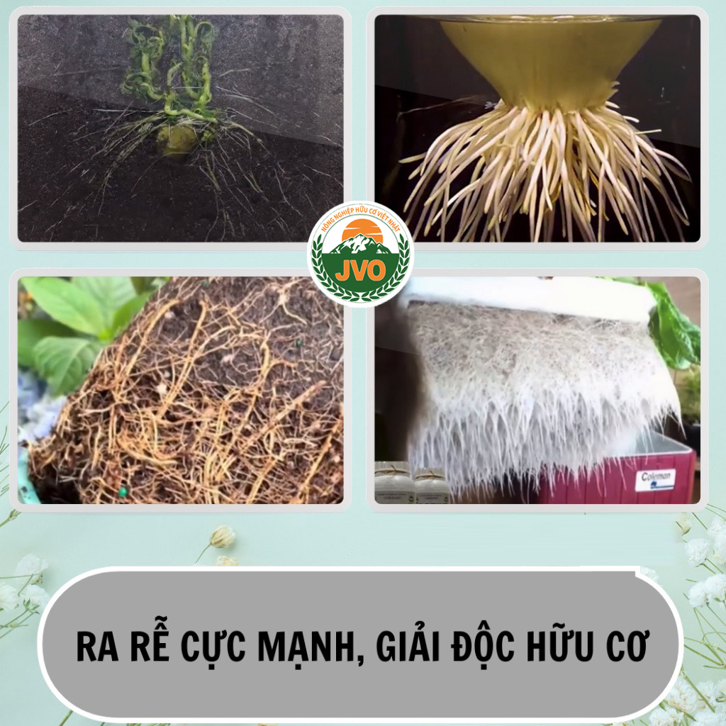 Phân Bón Lá Vi Lượng Combi Đức 30g JVO45 NongNghiepVietNhat