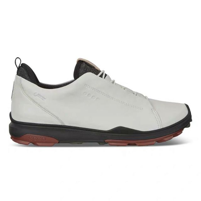[Hàng Chính Hãng] Giày Tập Golf - Giày Golf  Ecco Biom Hybrid 32.0